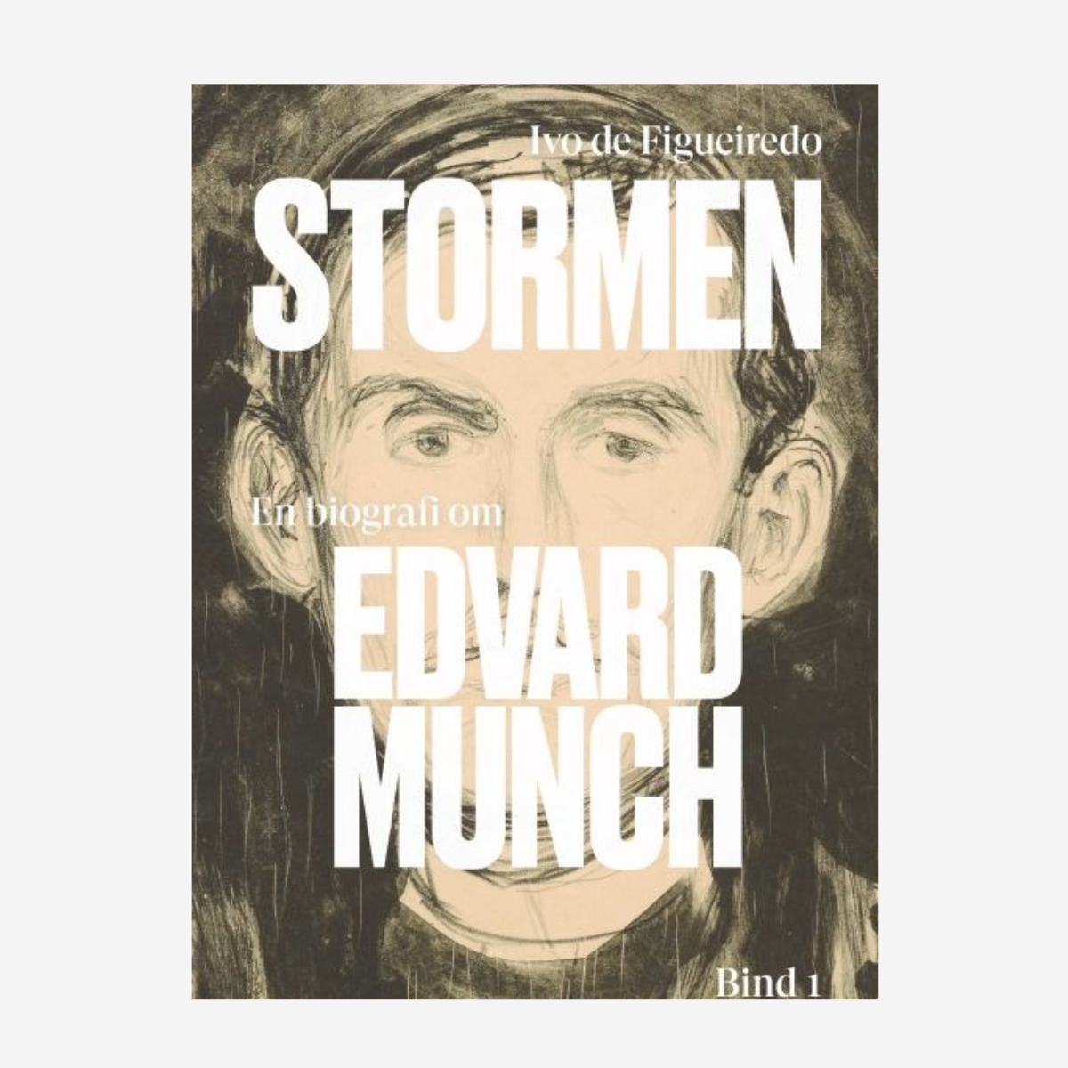 Stormen. En biografi om Edvard Munch